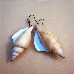 Seashell earrings